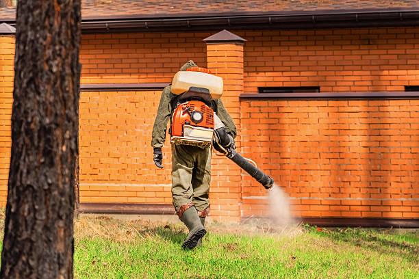Trusted Cockroach Control service in Tunica Resorts, MS - Nex Pest Control
